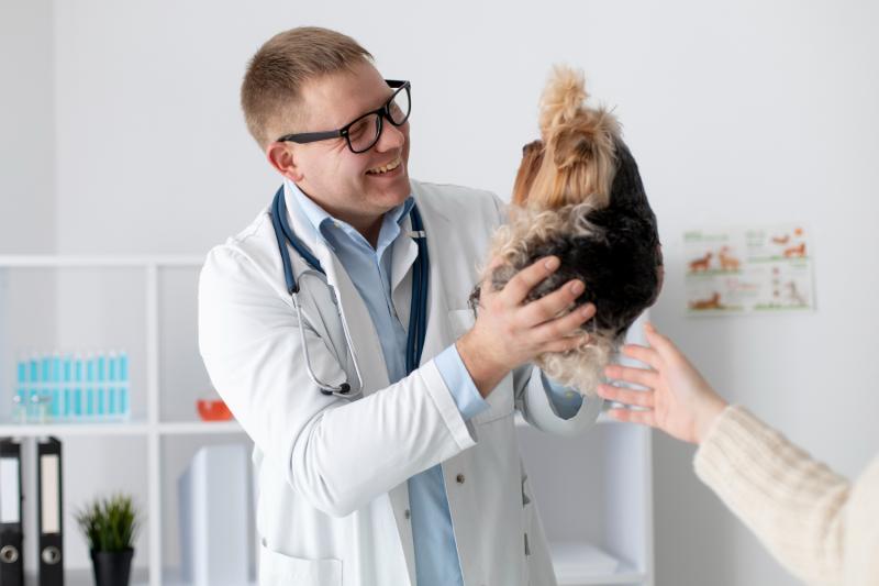 A Escolha da Melhor Clínica Veterinária em Sumaré para o Seu Pet