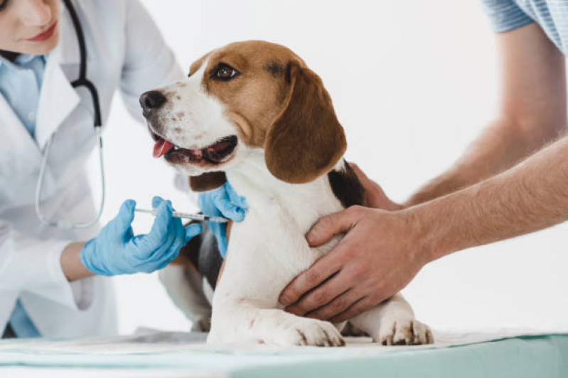 Clínica com Vacina contra Raiva para Cachorros Residencial Anauá - Vacina contra Raiva para Cachorros