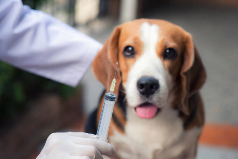 Clínica com Vacina Giardia Cachorro Jardim Terras de Santo Antônio - Vacina Importada para Cachorro