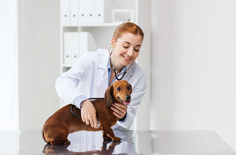 Clínica Veterinária Dermatologia Jardim Flamboyant - Clínica Pet para Animais