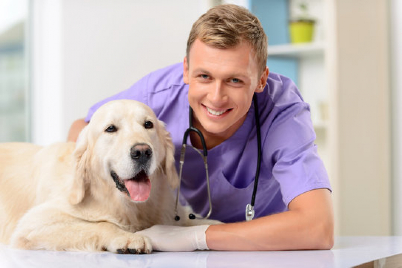 Consulta com Hospital Veterinário para Cachorros Jardim Amanda I - Hospital para Tratamentos Veterinários