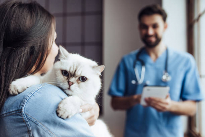 Endereço de Clínica Pet para Gatos Paraíso Novo Ângulo - Clínica Veterinária Popular Próximo de Mim