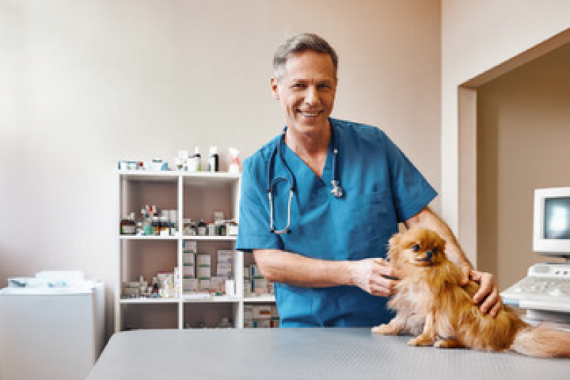 Exames Laboratoriais para Animais Jardim Lirio - Ultrassonografia para Cachorro