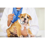 agendamento de consulta veterinário Remanso