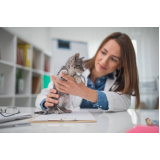 agendamento em consulta médica para gato Residencial Anauá
