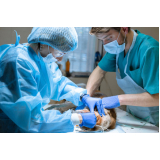 cirurgia medicina veterinária Condomínio Chácara Grota Azul