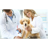 clínica com vacina múltipla canina Jardim Santiago