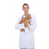 clínica com veterinária gato preto Parque Olívio Franceschini