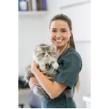 clínica com veterinário de felinos Vila Inema