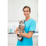 clínica com veterinário de gato Chácaras Luzitana
