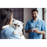 clínica com veterinário para felinos Chácaras Assay