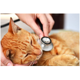clínica de exame de sangue em gatos Condomínio Chácara Grota Azul