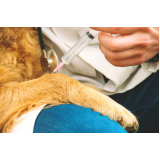 clínica que aplica vacina da gripe para animais Chácaras Luzitana