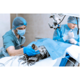 clínica que faz cirurgia de castração de cachorro Residencial Jardim de Mônaco