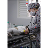 clínica que faz cirurgia de cesária em animais Parque Residencial Maria de Lourdes
