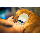 clínica que faz microchipagem cães Chácaras Havaí