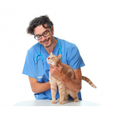 clínica que faz tratamento para cistite em gatos Residencial Jardim de Mônaco