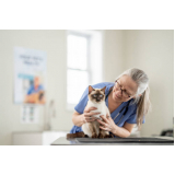clínica veterinária cães e gatos Jardim Santana