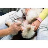 clínica veterinária com ultrassom Residencial Anauá