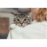 clínica veterinária especializada em felinos telefone Residencial Jardim do Jatobá