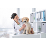 clínica veterinária para cães telefone Parque Santa Bárbara