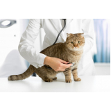 clínica veterinária para gatos telefone Vila Boa Vista