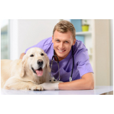 consulta com hospital veterinário para cachorros Parque Via Norte