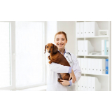 consulta de veterinário especialista em cachorro Condomínio Chácara Grota Azul