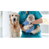 endereço de clínica veterinária especializada em gatos Parque das Nações