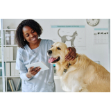endereço de clínica veterinária para cães Vila Conquista