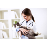 endereço de clínica veterinária para gatos Jardim Amanda II