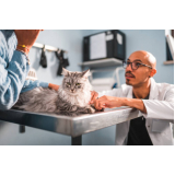 exame para detectar toxoplasmose em gatos procedimento Chácara Recreio Alvorada