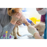 exames laboratoriais em animais marcar Jardim Novo Estrela
