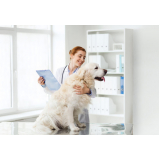 hospital veterinário para cachorros contato Campineiro