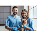 hospital veterinário para gatos e cachorros Loteamento Remanso Campineiro