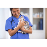 tratamento para gripe em gatos contratar Residencial Jardim de Mônaco