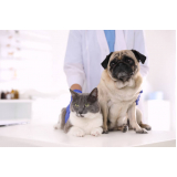 vacina contra gripe para cães marcar Chácaras Panaio