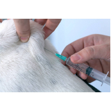 vacina contra raiva para cachorros Jardim Dulce