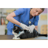 vacina da raiva para gatos onde faz Residencial Anauá