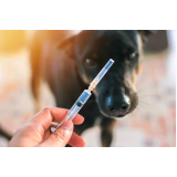 vacina de raiva para cachorro Jardim das Paineiras