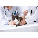 vacina para gatos onde faz Chácaras Acaraí