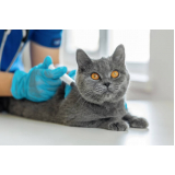 vacina polivalente gatos Chácaras Luzitana