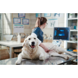 veterinária pró cão Jardim Rosolém
