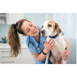 veterinário de cães contato Residencial Jardim do Jatobá