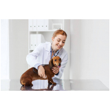 veterinário especialista em cachorro contato Jardim São Pedro