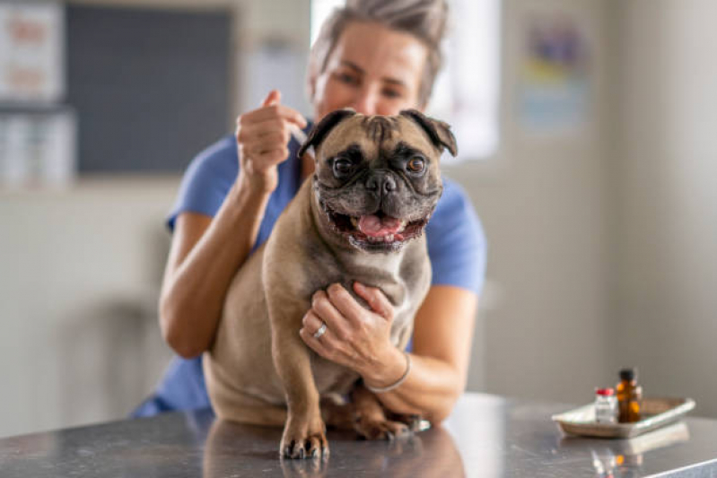 Vacina Filhote Cachorro Chácaras Assay - Vacina Leishmaniose Canina