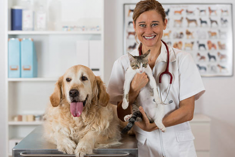Veterinário Especialista em Cachorro Jardim Nova Alvorada - Veterinário de Cães